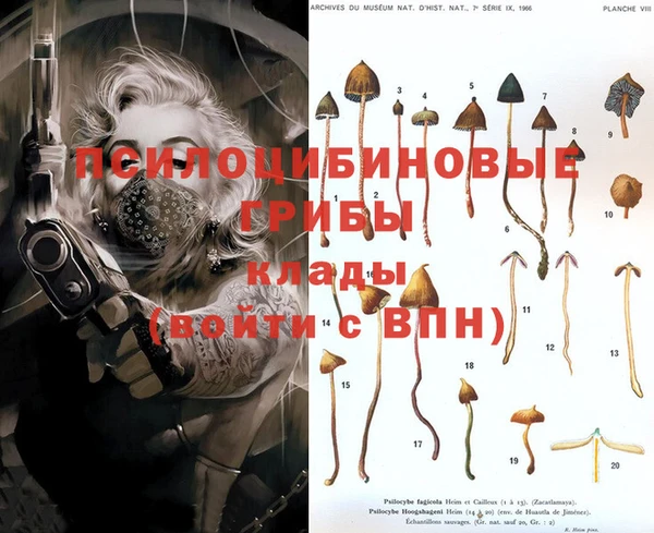 ПСИЛОЦИБИНОВЫЕ ГРИБЫ Алексин